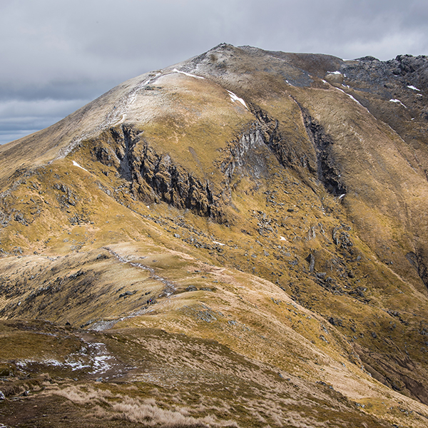 Trossachs Osprey Hide